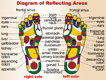 e0b980e0b989e0b897e0b989e0b8b2